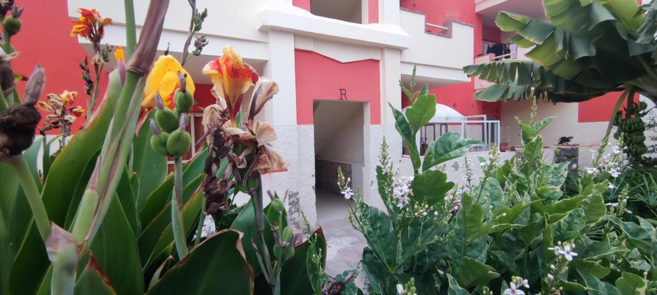 Sal Service Red Moradias Residence With Pool 산타 마리아 외부 사진